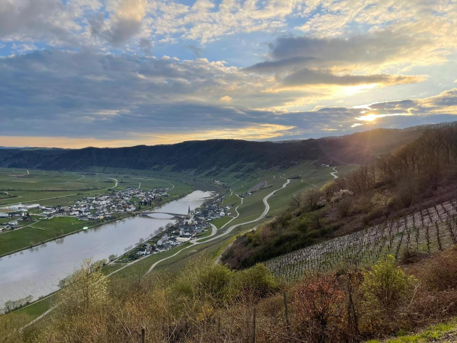 Die Ferienwohnungen Dominik , Fill Horath الغرفة الصورة
